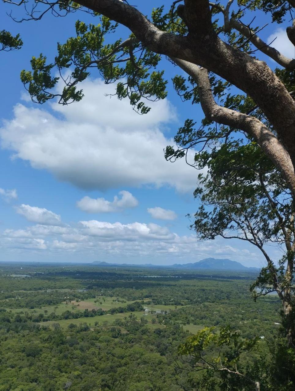 Sigiri Thilanka Rest Sigiriya Hotel Ngoại thất bức ảnh